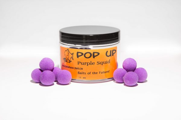 popup-purplesquid